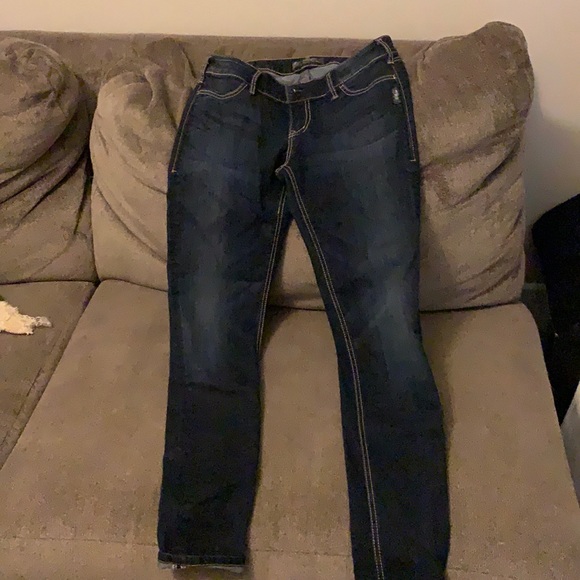 Silver Jeans Denim - Silver Jeggings- Suki